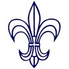 Codex Unternehmemsberatung Ulm